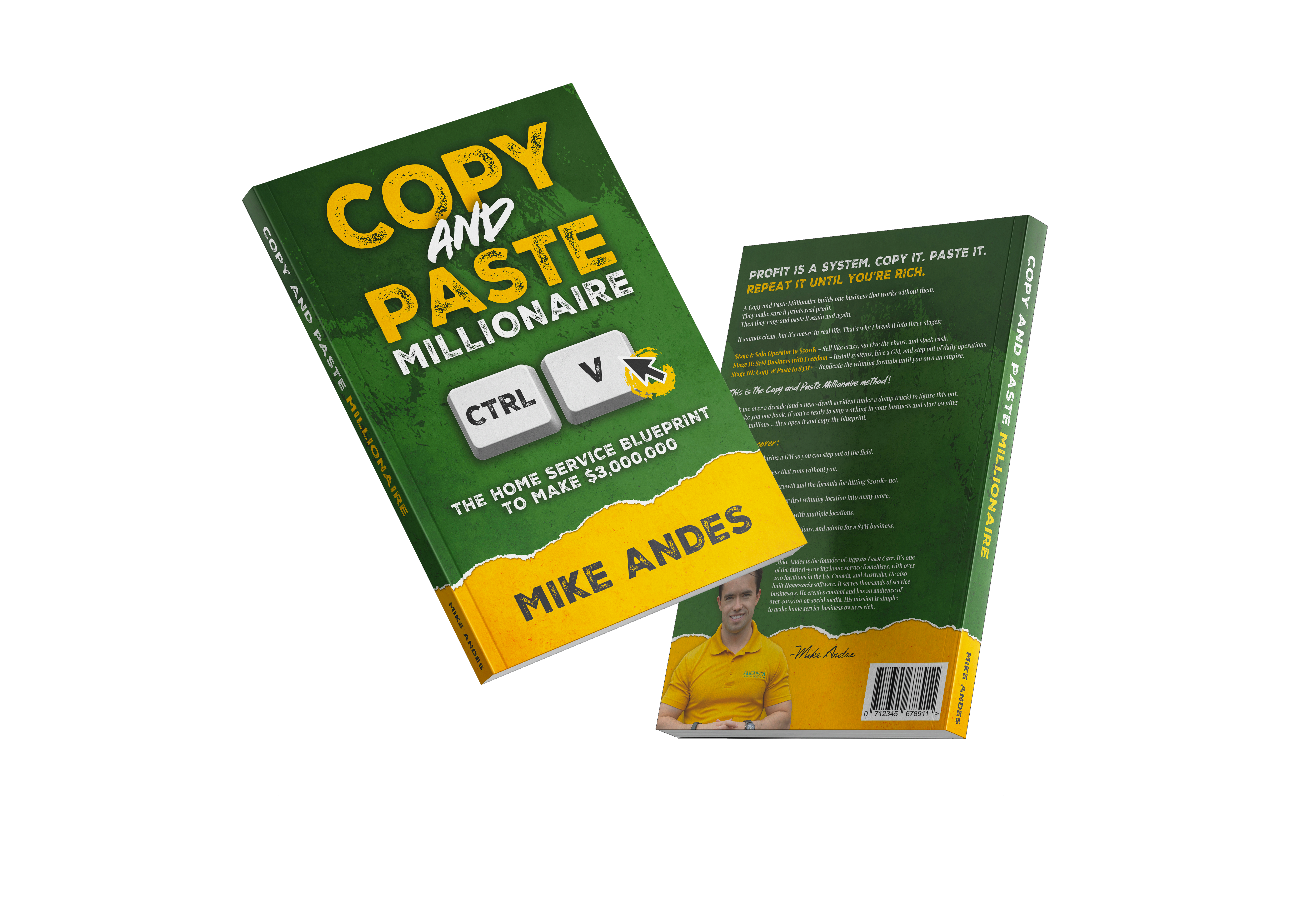 The Copy & Paste Millionaire Book