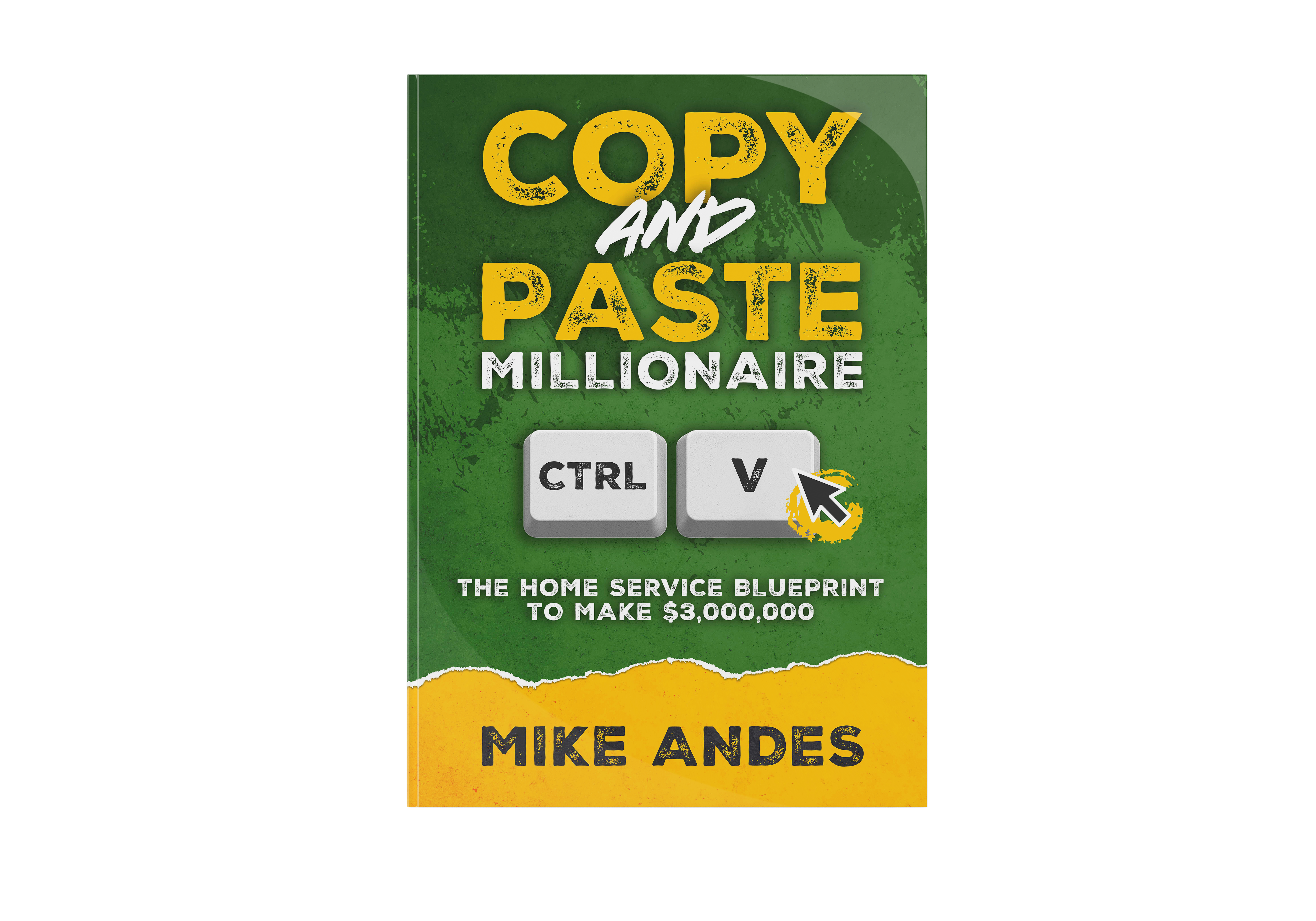 The Copy & Paste Millionaire Book