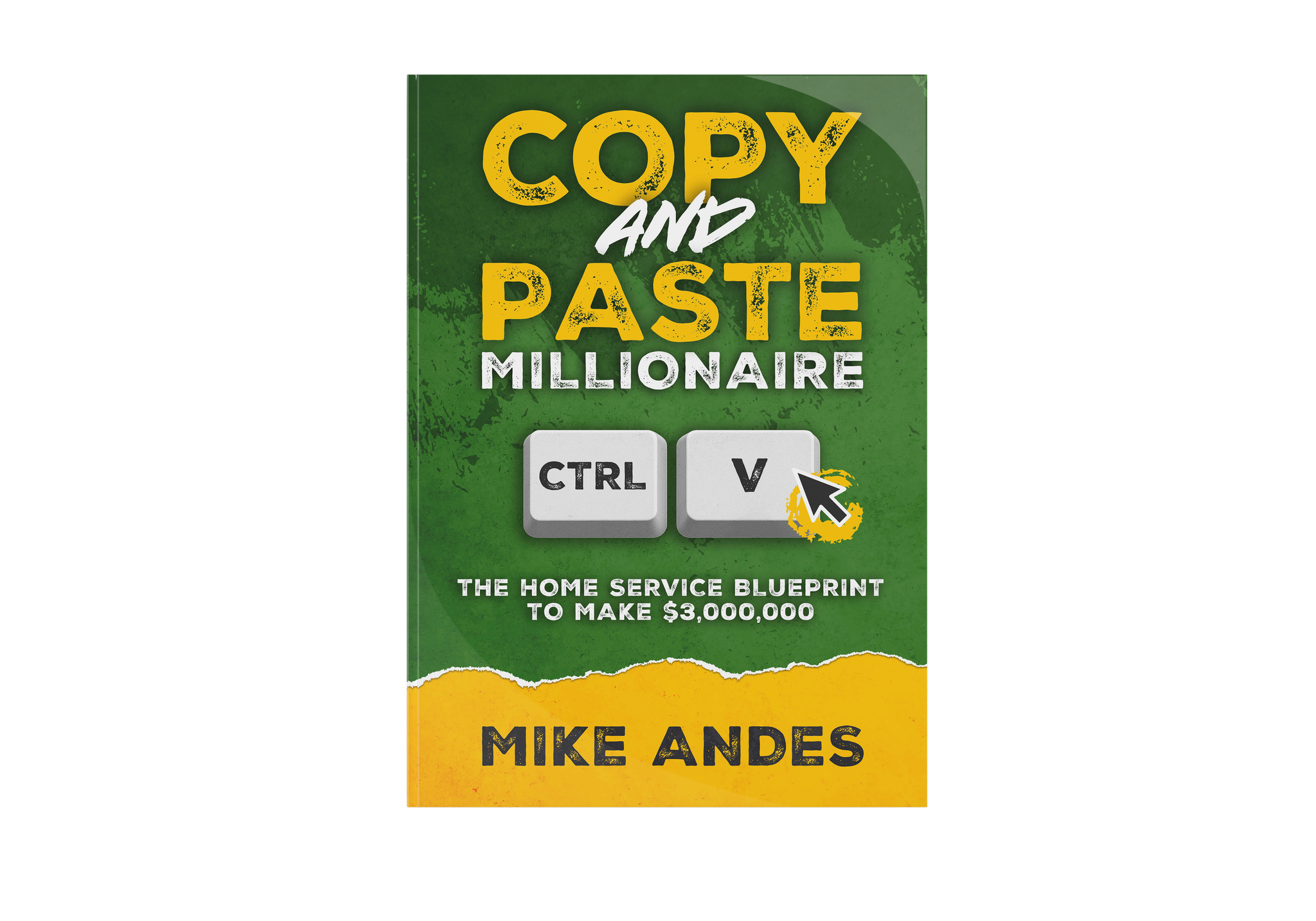 The Copy & Paste Millionaire Book